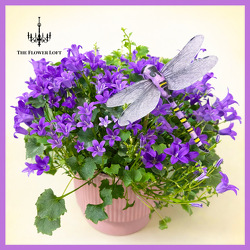 Violets Vibes From The Flower Loft, your florist in Wilmington, IL