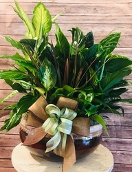 Vibrant Green Garden From The Flower Loft, your florist in Wilmington, IL