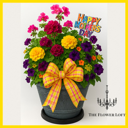 Mixed Annuals Planter From The Flower Loft, your florist in Wilmington, IL