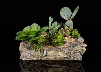 Succulent Garden From The Flower Loft, your florist in Wilmington, IL