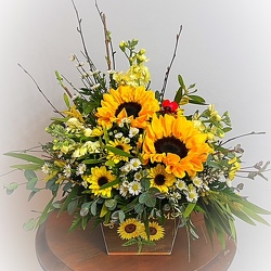 Sunshine Farms From The Flower Loft, your florist in Wilmington, IL