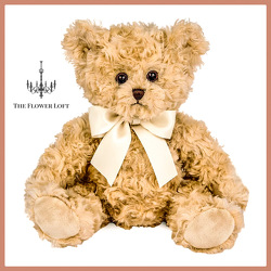 Lil' Tate the Teddy Bear From The Flower Loft, your florist in Wilmington, IL