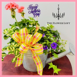 Watering Can Outdoor Planter From The Flower Loft, your florist in Wilmington, IL